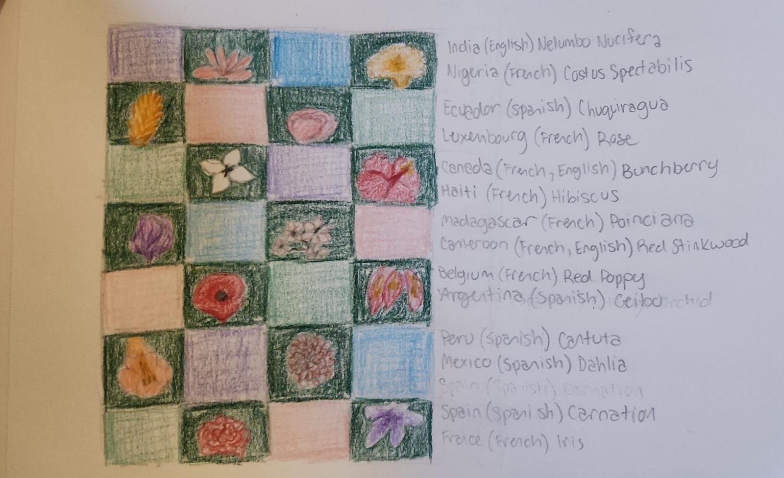 Planning sketch for the national flowers mural